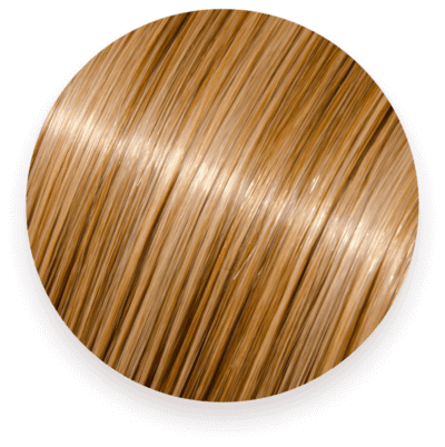 L'Oreal Hair Swatch Blonde