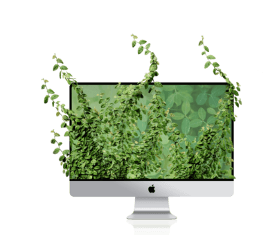 Image growing plants
