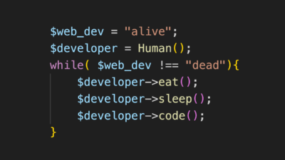 Third Wunder - Featured Image - Web Development